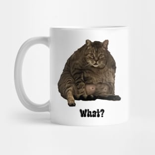 What funny Cat taking bath Mug